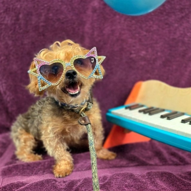 *Elton John