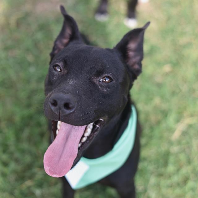 Sam