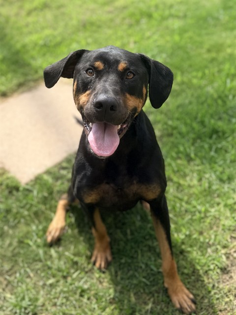 Max