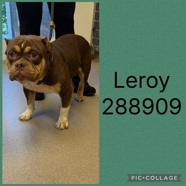 Leroy