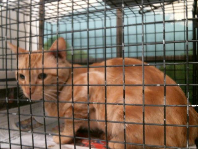 Jonesy