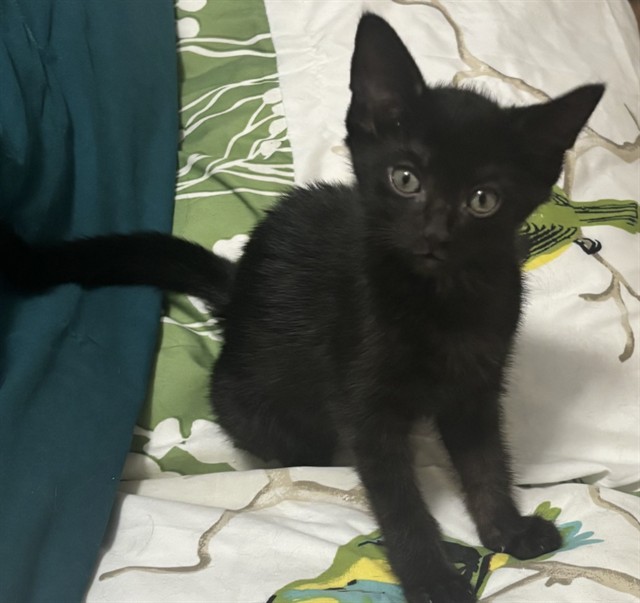 Winnie