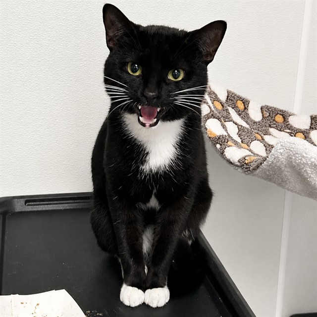Tux