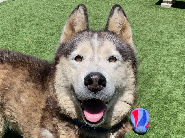 Max