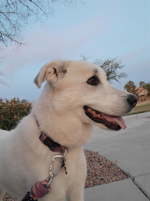 Molly