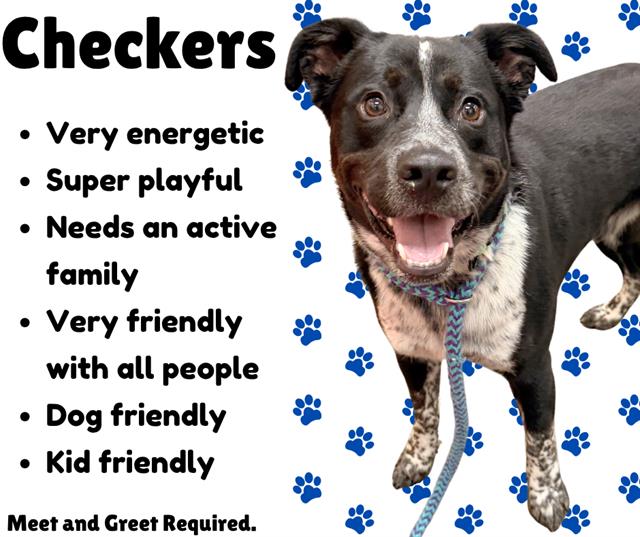 Checkers