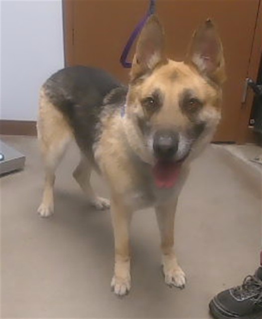Zeus