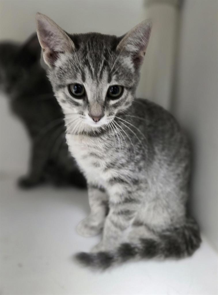 Eleanor