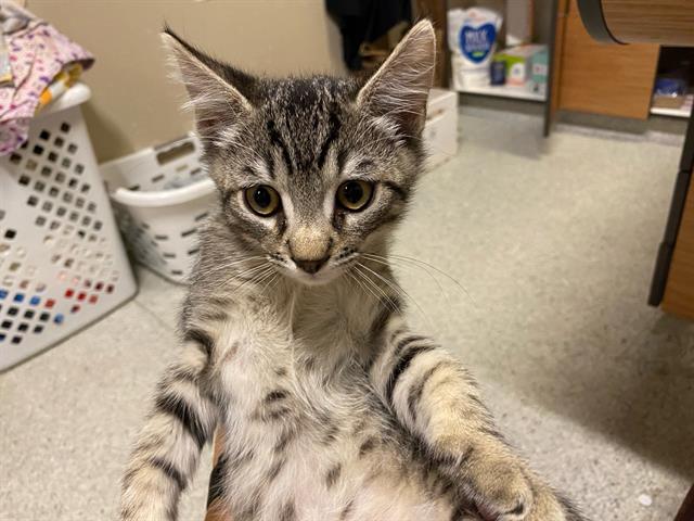*Tom