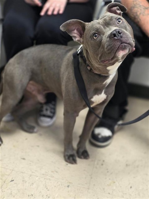 Benny