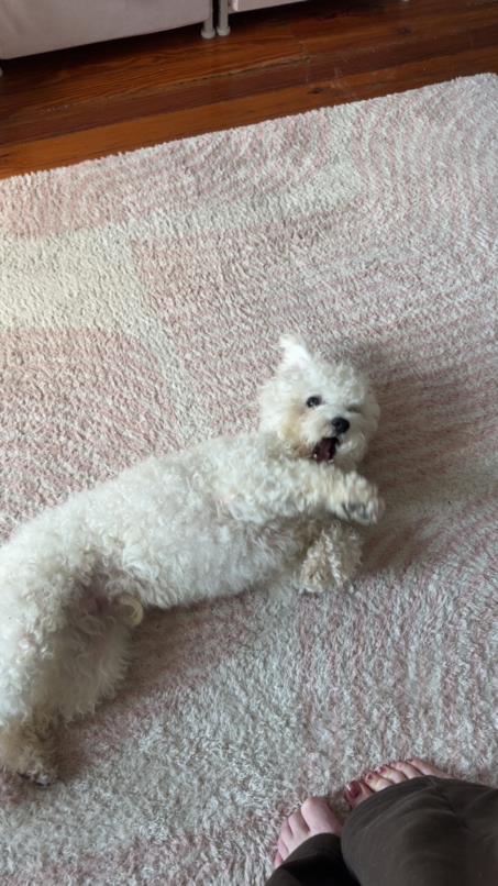 Mohair