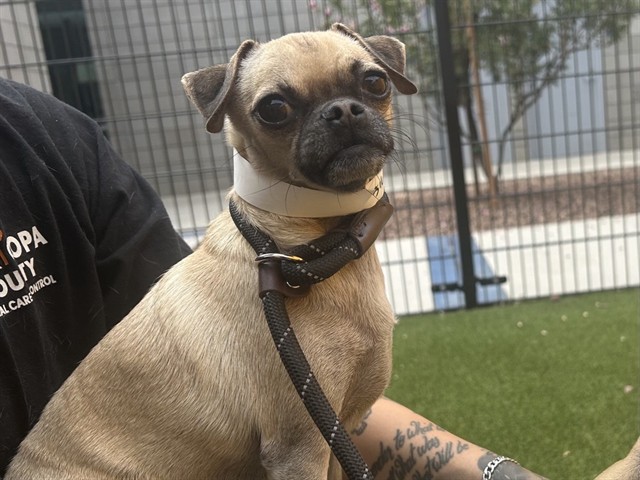 Hewbert
