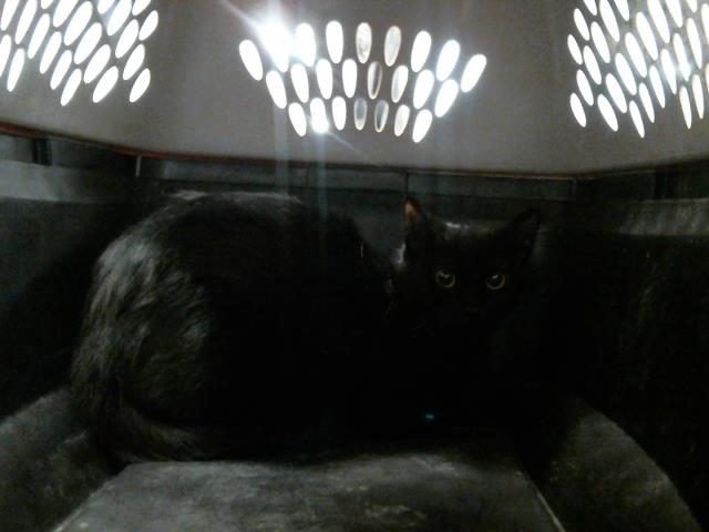 Margy
