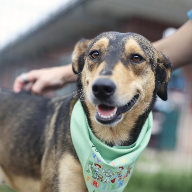 Mary