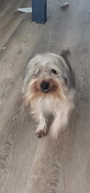Pip