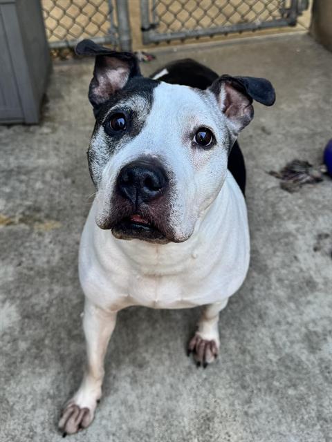 Bernadette