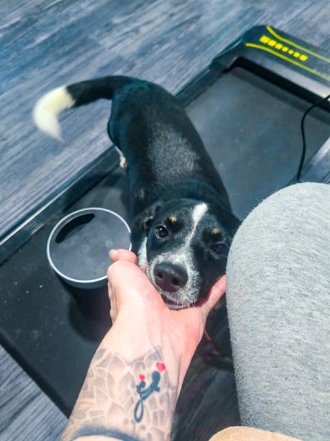 Peggy