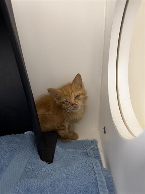 Static - Needs A Foster
