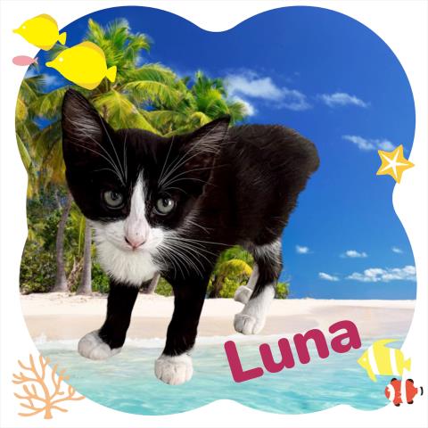 *Luna