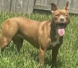 Lola