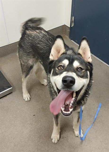 Max