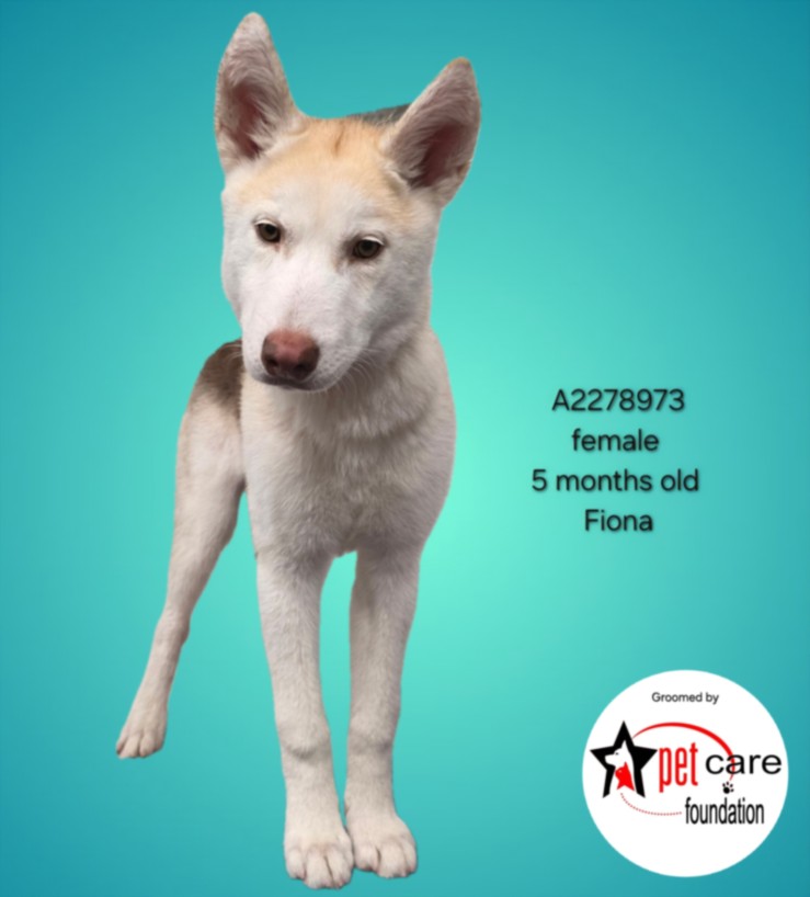 Fiona