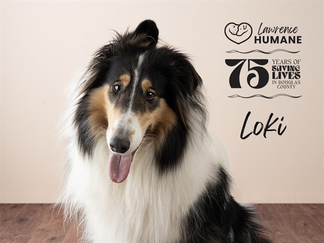 Loki