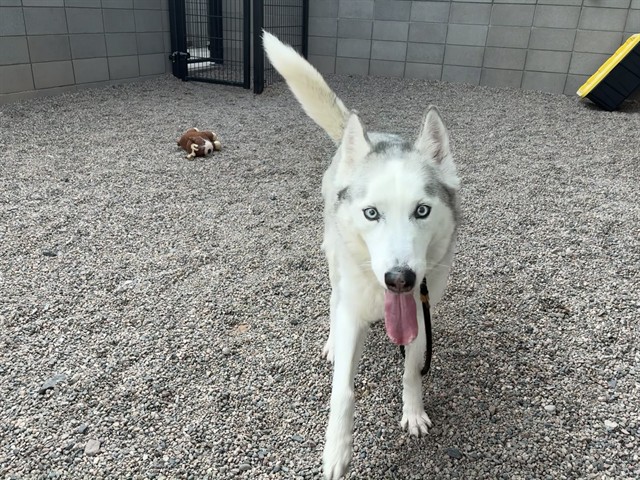 Max