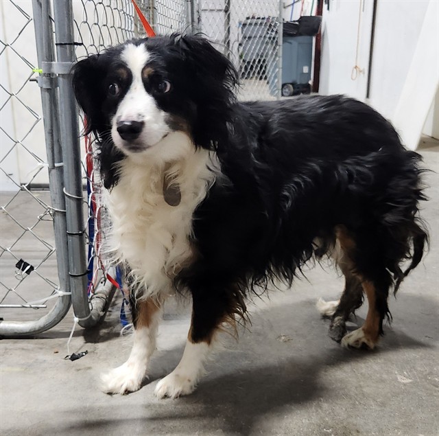 Roscoe