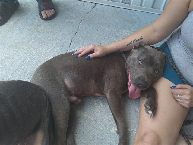 Zeus