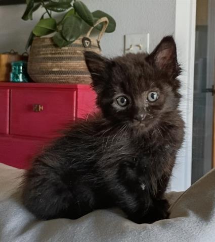 Niles