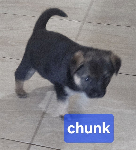 Chunk