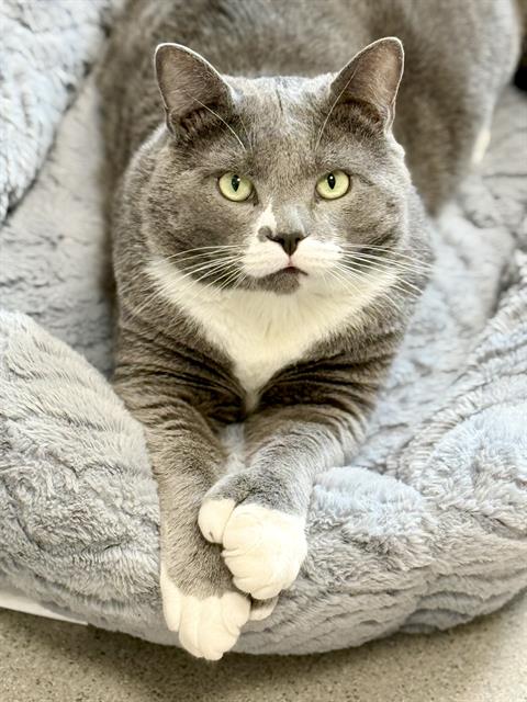 Milo