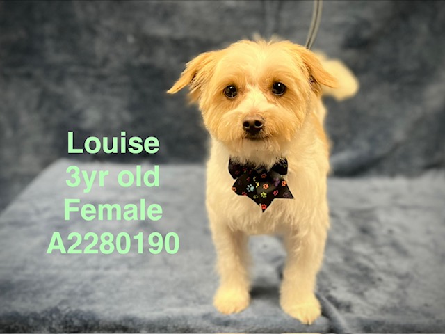 Louise