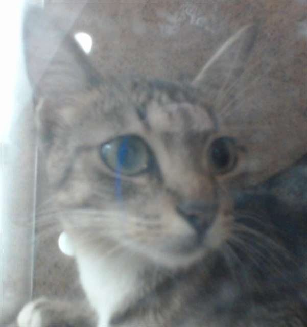 Mama Luna