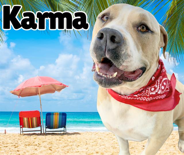 Karma