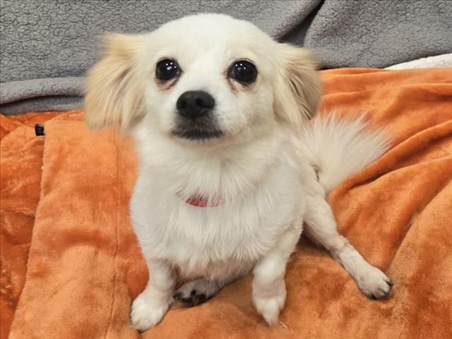 Greta