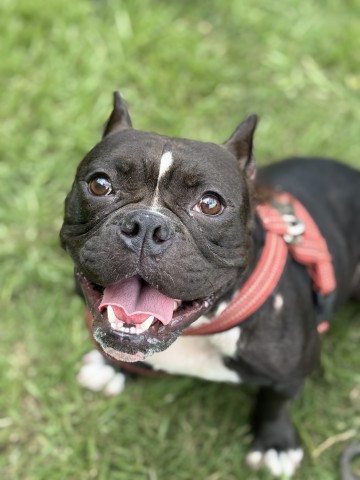Roxy