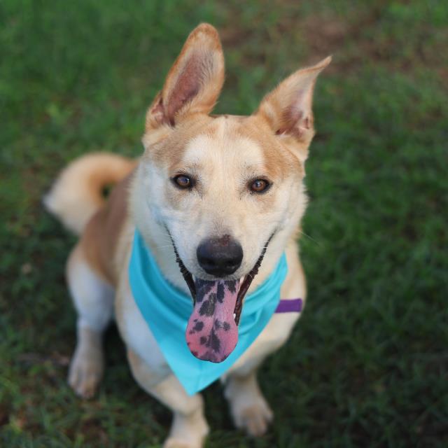Chester