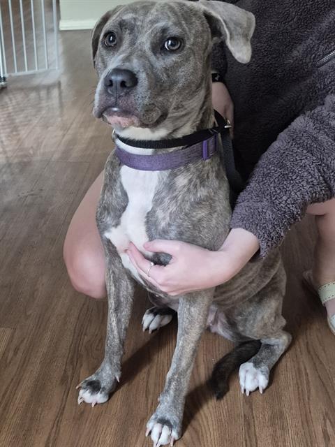 Bella