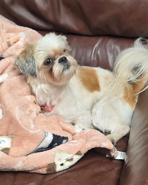 Maggie Mae