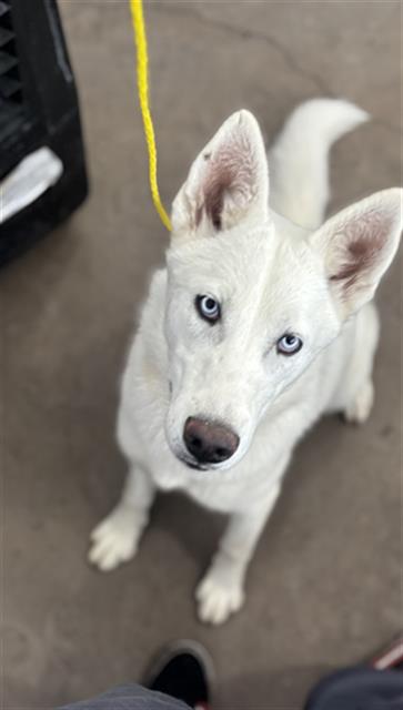 Luna