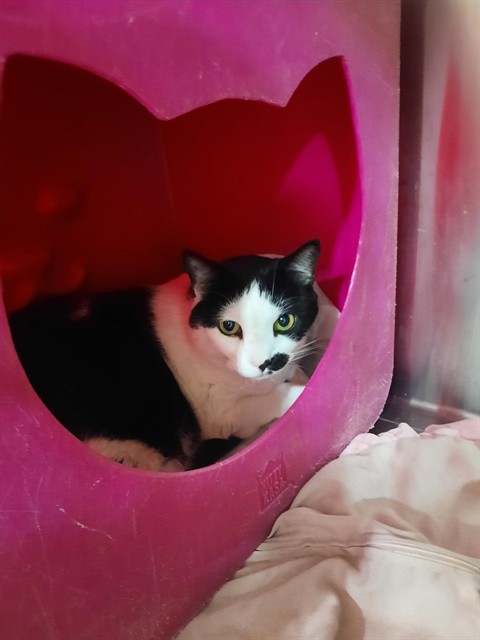 Sebastian
