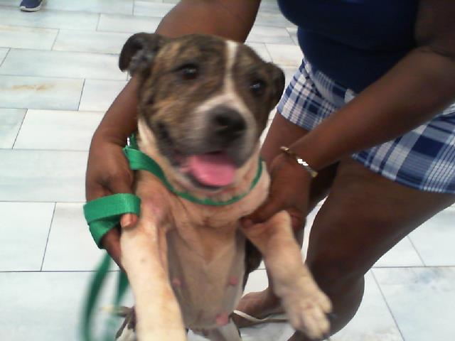 Lola