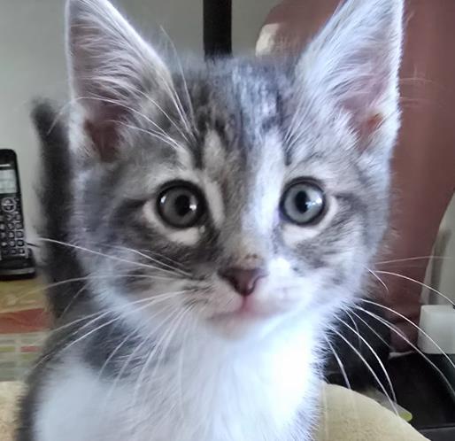 Jax