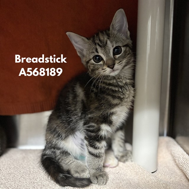 Breadstick