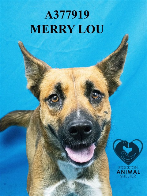 Merry Lou