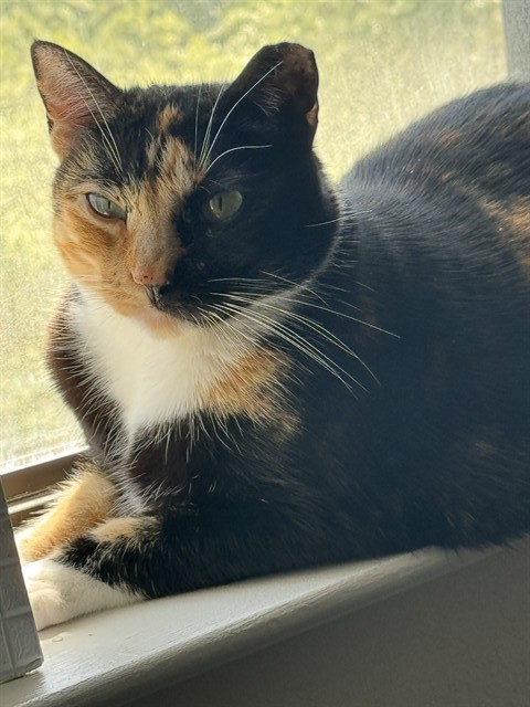 Coco