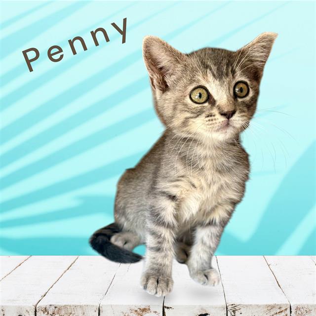 *Penny