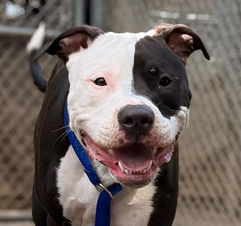 Tyson